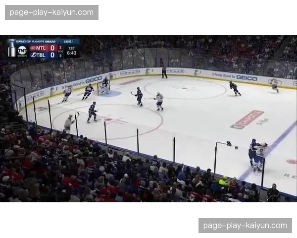 NHL季后赛转播权分散，ESPN与TNT共享版权格局